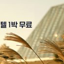 휘닉스 호텔 이미지