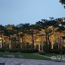 광주 효천에 미세먼지 차단 숲·화정에는 치유공원 이미지