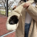 강아지 이동가방 추천 가볍고 편한 밀리옹 뉴 밀링백