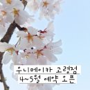 우니메이카 고령점 이미지