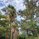 칠십리공원 이미지