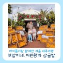 겨울, 아이랑, 제주여행 첫째 날) 보말이네, 어린왕자 감귤밭(먹이주기, 귤 따기 체험)