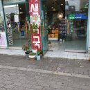 메디팜녹색약국 이미지