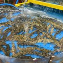 남성을 위한 셀프요리 이미지