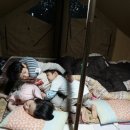 금산인삼골오토캠핑장 이미지