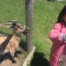 시은이네 농장 이미지