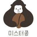 미스터콩 이미지