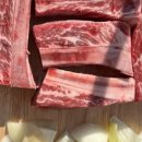 야한 캠핑장 이미지