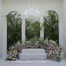 유선 | 광주 더시그너스 웨딩홀 유선계약 후기 (2027년 상반기 하반기 견적공유)