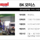 BK MOTORS 이미지