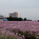 도심속 향기원 이미지