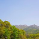 오리숲 | ■4월, 꼭 걸어보고 싶은 황매화 핀 갑사 오리숲