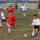 남해스포츠파크 인조구장 축구장 경향신문