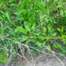 대산민박 이미지