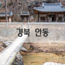 미스터짹