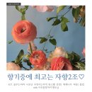 [실전28기 향기중에최고는 자향2조 유르] 자향님 향해서 자향~자! 열정 안정 긍정! (튜터링데이 후기)