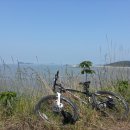 항기목장 이미지