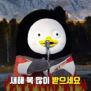 공모주 전국민이 하다보니???(1월 국장 공모주 일정 추가) 이미지