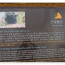 꽃돌농장 이미지