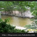 자연과우리펜션야영장 이미지