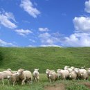 지평선목장 이미지