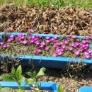 해천농장 이미지