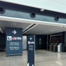 Square 181 | 25. 유럽여행_영국(런던, 세븐시스터즈) 🇬🇧