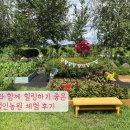 가장로 | 아이랑 주말 힐링! 대전 근교 철인농원 체험 후기