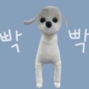 댕댕미용 이미지