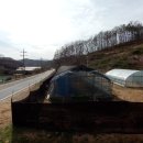 사정농장 이미지