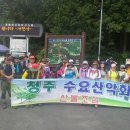 사천송림 이미지