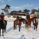 영광승마장 이미지