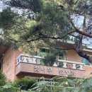 잣나무솔향기