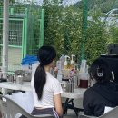 드림(Dream) 이미지