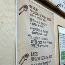 봉평동치미막국수 | 속초 맛집/ 봉평메밀막국수냉면 찐 후기 #내돈내산