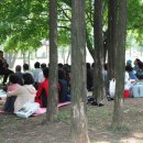 원적산공원 이미지