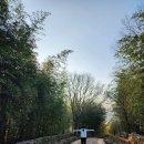 퍼피랜드 이미지