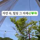 애플글램핑 이미지