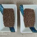 데친 참나물. 토마토퓨레+엑트올리브유1T+유기농식초 1T. 서리태청국장. 이미지