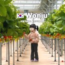 매지밀 딸기농장 이미지