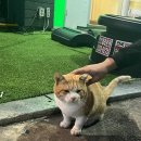 쌍용 노래연습장 이미지