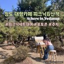 송내지 | 청도 가볼만한곳 피트닉세트 대여가능한 한옥대형카페