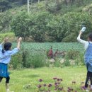 살바토레펜션 이미지