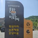 황금마차마을 이미지