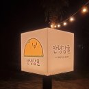 안녕감귤 제주독채펜션 이미지