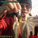 쭈순이 Daum카페