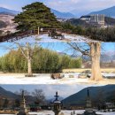 실상사 - 부안군 | 실상사