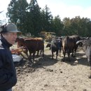 일은축산 이미지