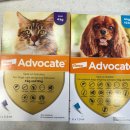 광주약국 이미지