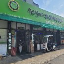 중앙로주유소 | [천안 맛집] 잡내 제로! 육즙 팡팡 '수정양꼬치' 솔직후기 &amp; 여름철 오존 주의보